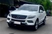 MERCY ML250 CDI AT 2015 PUTIH 3