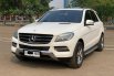 Mercedes-Benz M-Class ML 250 2015 SUV 3