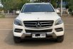 Mercedes-Benz M-Class ML 250 2015 SUV 1