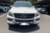 Mercy ML250 CDI AT 2013 1