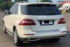 MERCY ML250 CDI AT PUTIH 2013 6