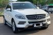 MERCY ML250 CDI AT PUTIH 2013 2