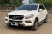 MERCY ML250 CDI AT PUTIH 2015 3