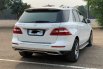 MERCY ML250 CDI AT PUTIH 2015 5