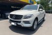 MERCY ML250 CDI AT 2013 , JUAL CEPAT 3