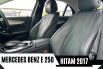 Mercedes-Benz E-Class E250  2017 8