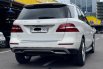 MERCY ML250 CDI AT 2015 TERAWAT DIJUAL CEPAT TERMURAH 5