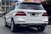 MERCY ML250 CDI AT 2015 TERAWAT DIJUAL CEPAT TERMURAH 6