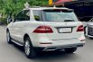 Mercedes-Benz M-Class ML 250 2013 Putih 6