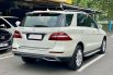 Mercedes-Benz M-Class ML 250 2013 Putih 4