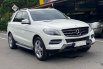 Mercedes-Benz M-Class ML 250 2015 Putih 3