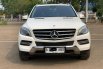 Mercedes-Benz M-Class ML 250 2013 SUV 1