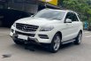 Mercedes-Benz M-Class ML 250 2015 Putih 2