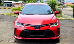 Toyota Corolla Altis Hybrid A/T 2019 merah km 39rb recordcash kredit proses bisa dibantu 2