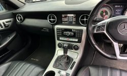 Mercedes-Benz SLK SLK 250 2013 Hitam LIMITED 8