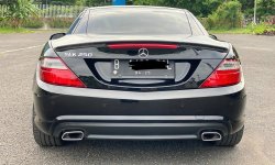 Mercedes-Benz SLK SLK 250 2013 Convertible 4