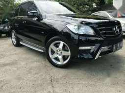 Mercedes-Benz ML350 Sunroof 2012  1