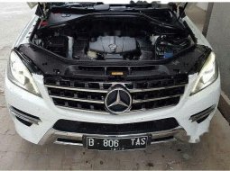 Mercedes-Benz ML400 2014 dijual 1