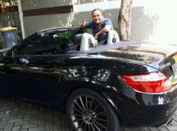 2012 Mercedes-Benz SLK200 Dijual  2