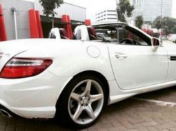 Mercedes-Benz SLK250 2012 terbaik 5