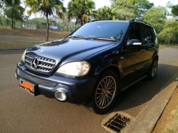 Mercedes-Benz M-Class 2001 terbaik 4