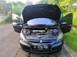 2004 Peugeot 307 dijual 6