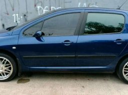 Peugeot 307 Sporty XS 2002 Biru 7