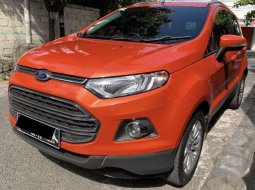 2014 Ford EcoSport dijual 7