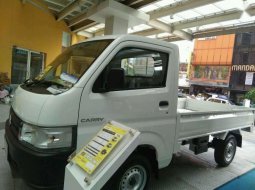 Suzuki Carry Pick Up 2019 dijual 1