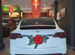 Brand New 2020 Tesla Model X Long Range 2020, DKI Jakarta 2
