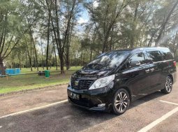 Jual Toyota Alphard G 2010 harga murah di Riau 5
