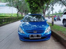 Jual Peugeot 307 Sporty XS 2003 harga murah di Banten 14