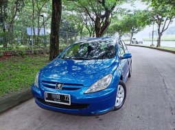 Jual Peugeot 307 Sporty XS 2003 harga murah di Banten 12