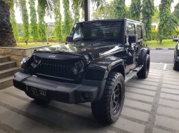 Rubicon Sahara 2011 Antik 1