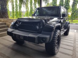 Rubicon Sahara 2011 Antik 3