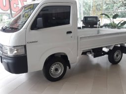 Promo DP 3JUTA Khusus JABODETABEK Suzuki Carry Pick Up 1