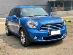 MINI COOPER COUNTRYMAN AT BIRU 2013 3