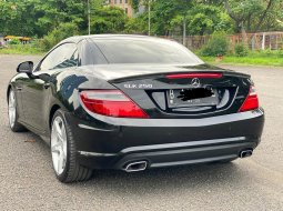 Mercedes-Benz SLK SLK 250 2013 Hitam 10