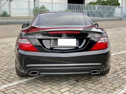 Mercedes-Benz SLK SLK 250 4