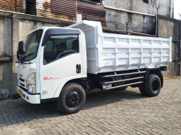 MULUS+banBARU MURAH CDD Isuzu elf 125 ps HD dumptruck 2019 dump truck
