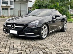Mercedes-Benz SLK SLK 250 AMG 3