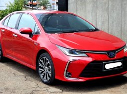 Toyota Corolla Altis Hybrid A/T 2019 merah km 39 rban record
