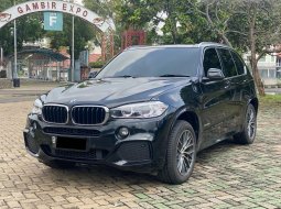 BMW X5 xDrive25d 1