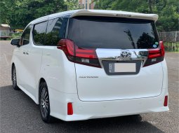 Toyota Alphard SC Premium Sound 2016 6