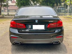 BMW 530i 2020 10