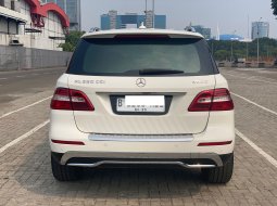 Mercedes-Benz ML 250 CDI 2015 2