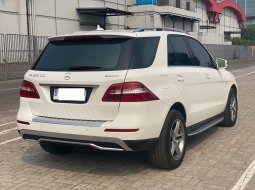 Mercedes-Benz ML 250 CDI 2015 3