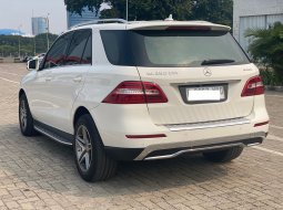 Mercedes-Benz ML 250 CDI 2015 4