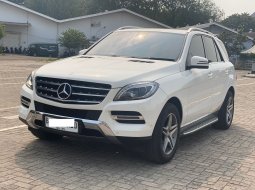 Mercedes-Benz ML 250 CDI 2015 5