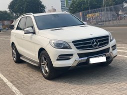 Mercedes-Benz ML 250 CDI 2015 6